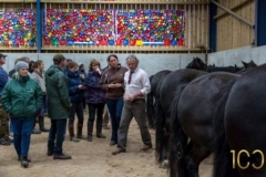 David-Eccles-talking-to-guests-at-Westwick-Stud-Open
