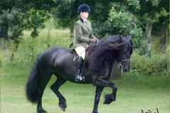 S-Rhona